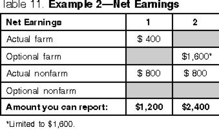 How is net earnings from self-employment calculated?