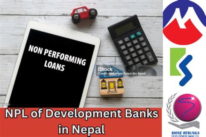 How many development banks are there in Nepal?