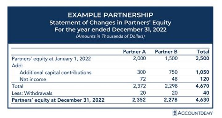 How many partners are in a partnership account?
