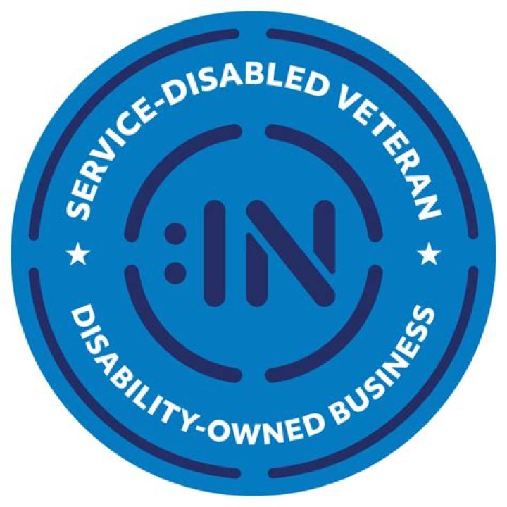 How many service-disabled veteran owned businesses are there?