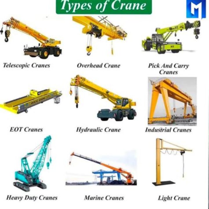 How many types of cranes are there?