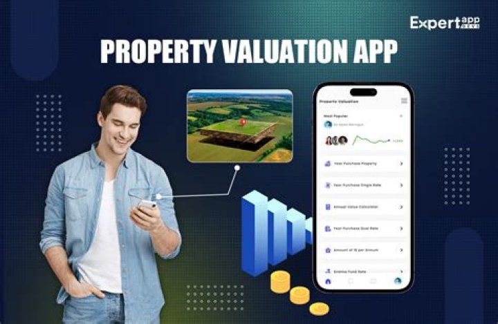 How much did property values drop in 2008?