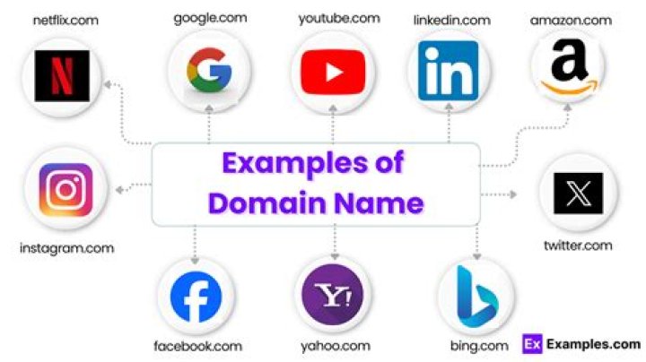 How much do companies pay for domain names?