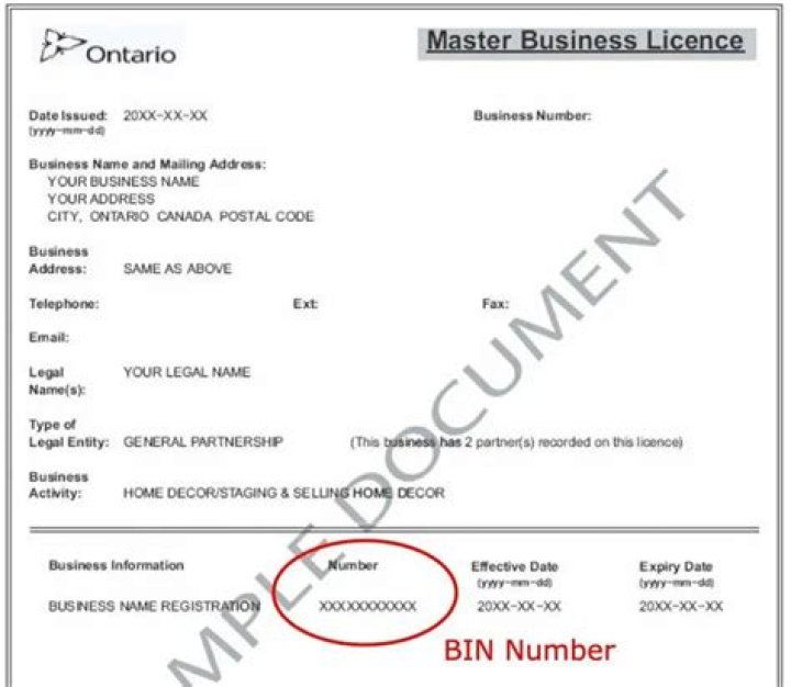 How much does business registration cost Ontario?