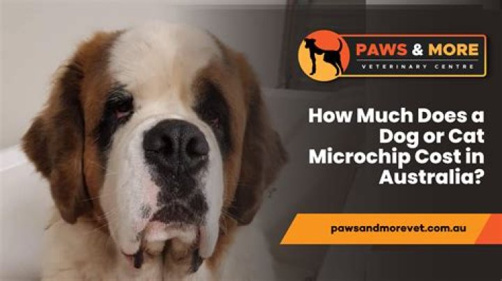 How much does it cost to digitize VHS tapes?