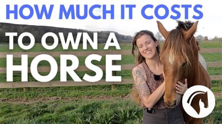 How much does it cost to maintain a horse stable?