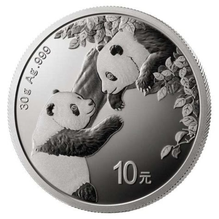 How much is silver panda coin worth?
