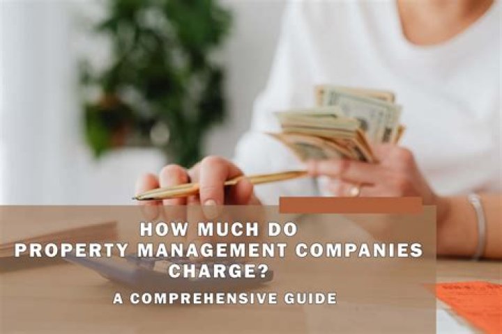 How much should a property management company charge?