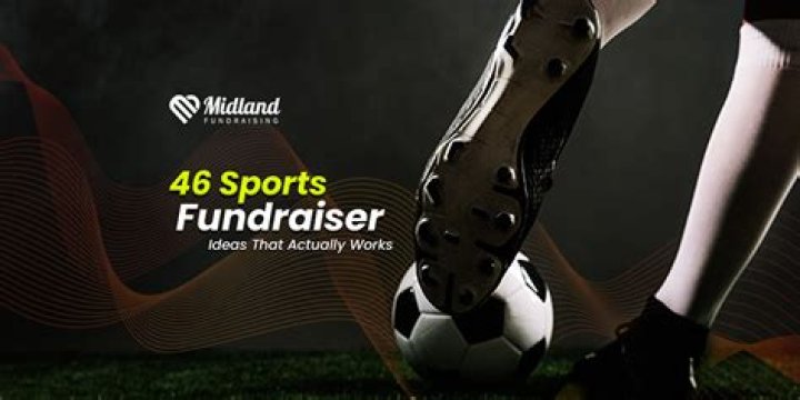 In what way the company would be able to raise funds?