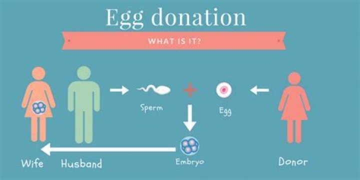 Is a donor egg biologically yours?