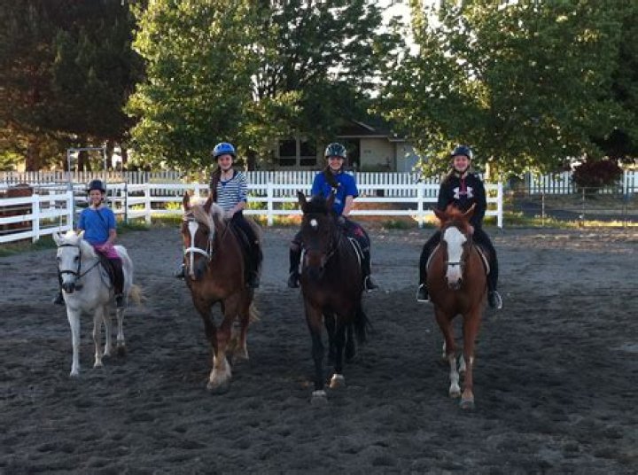 Is a horse riding school profitable?