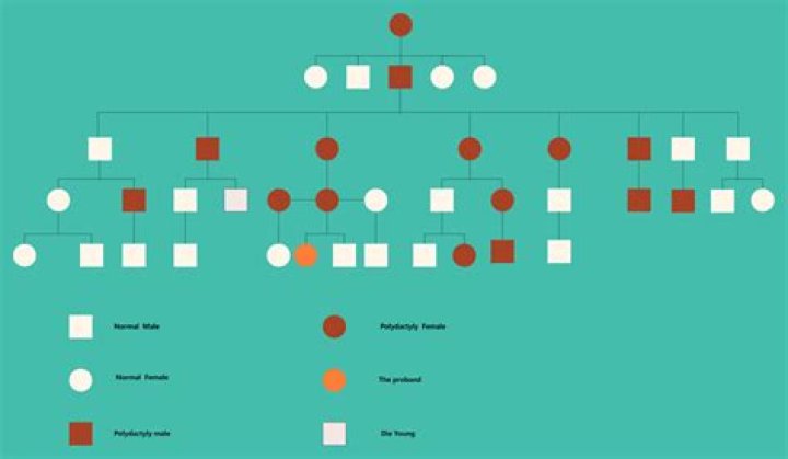 Is a husband and wife without children considered a family?
