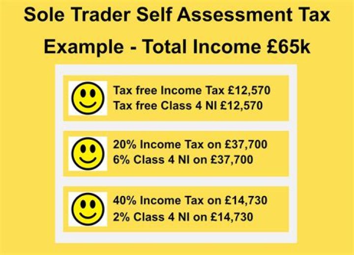 Is a self-employed taxi driver a sole trader?