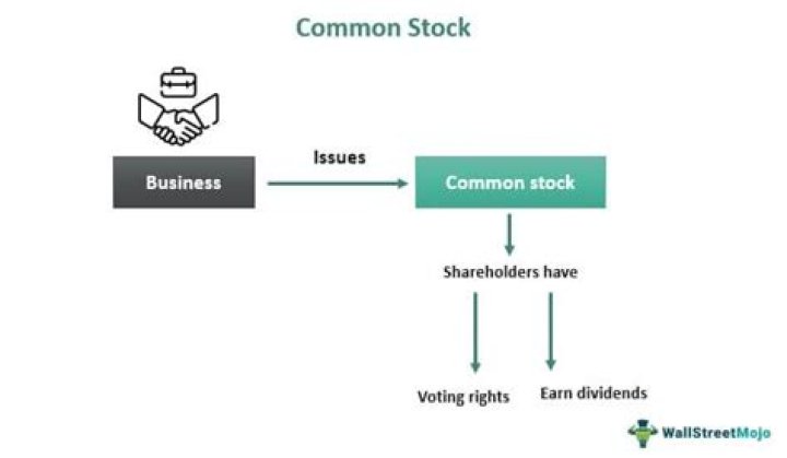 Is common stock a distribution?