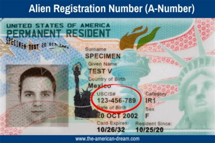 Is h1 US resident alien?