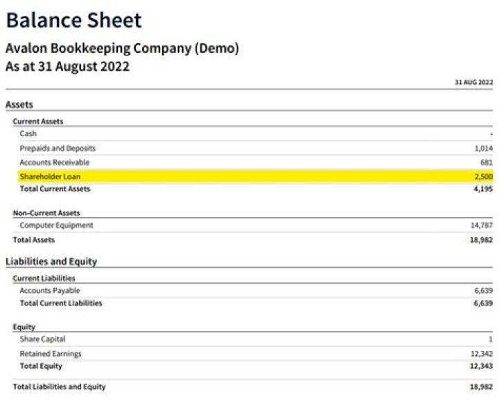 Is loan from shareholder an asset?