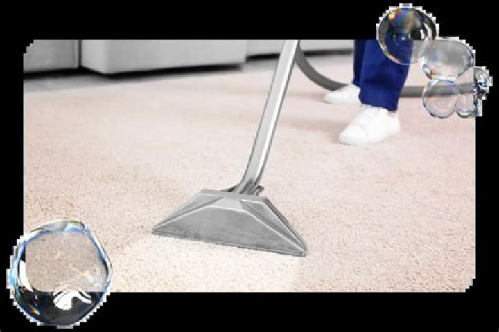 Is professional carpet cleaning necessary?