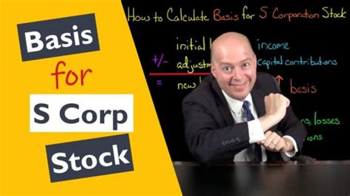 Is stock in an S corporation a capital asset?