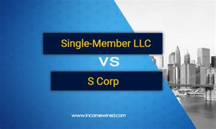 Should single member LLC filing as S Corp?