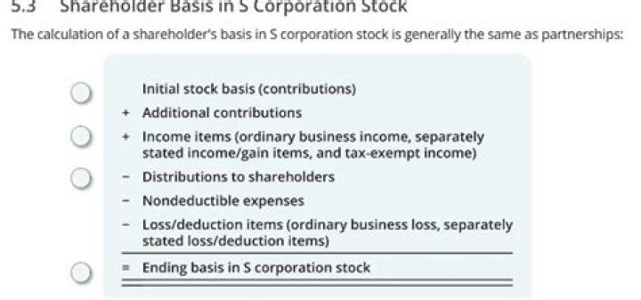 What affects shareholder basis?