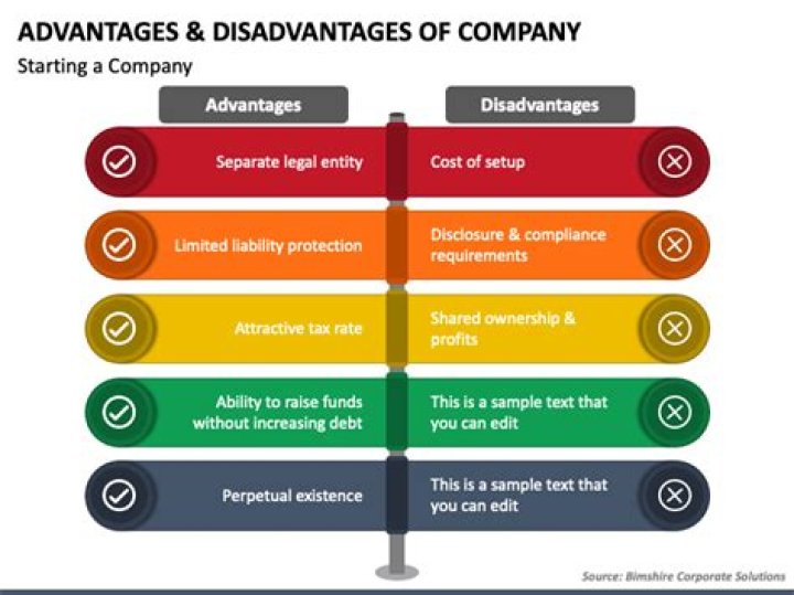 What are advantages and disadvantages of company?