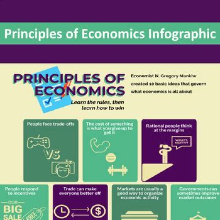 What are basic principles of economics?