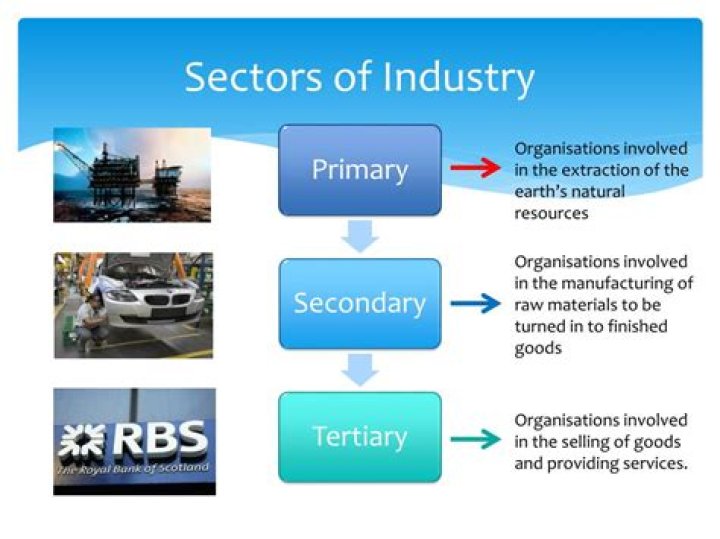 What are examples of business sectors?