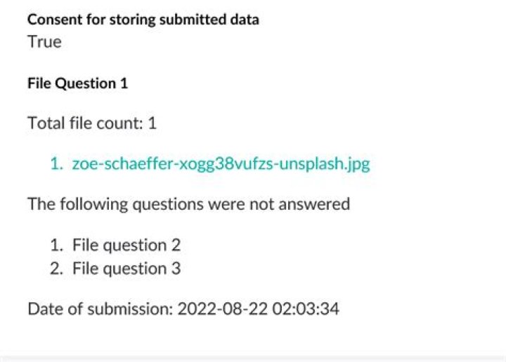 What are file upload questions?
