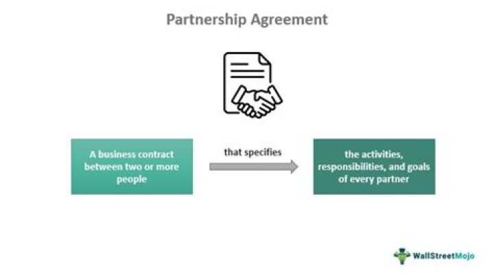 What are partnership interests?