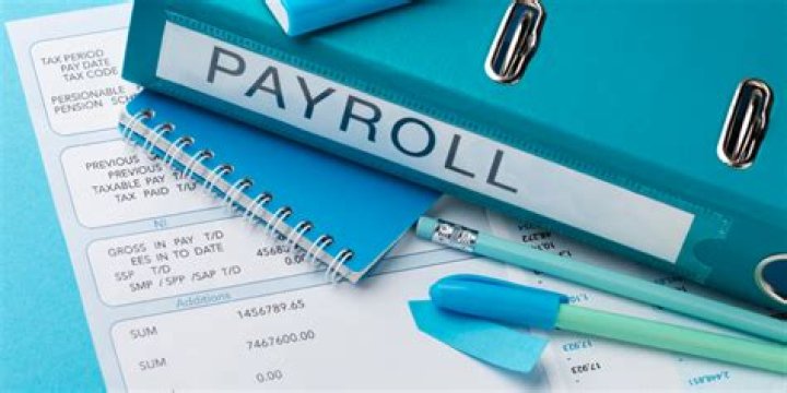 What are payroll companies called?