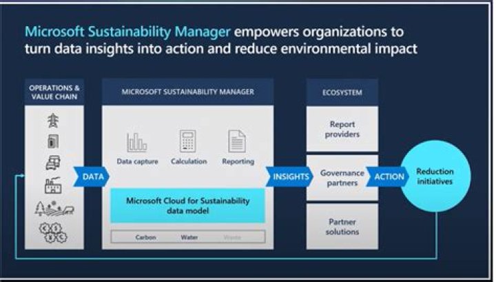 What are sustainability managers?