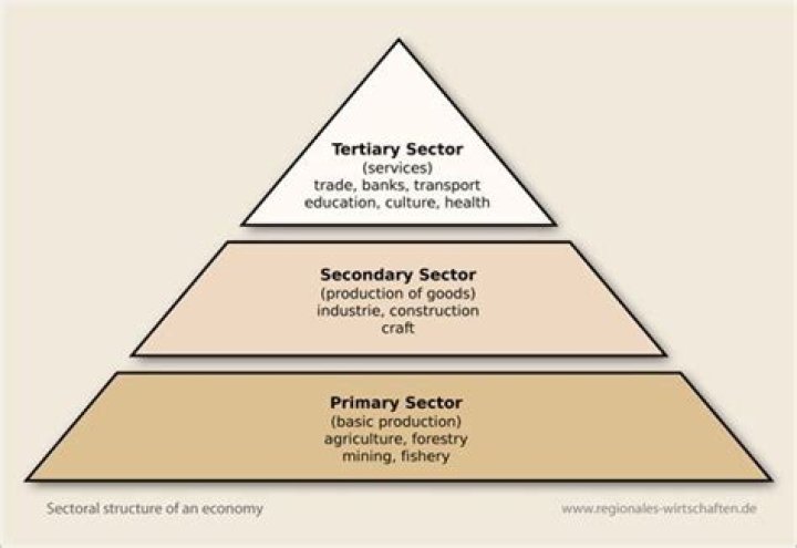 What are the 3 sectors of industry?
