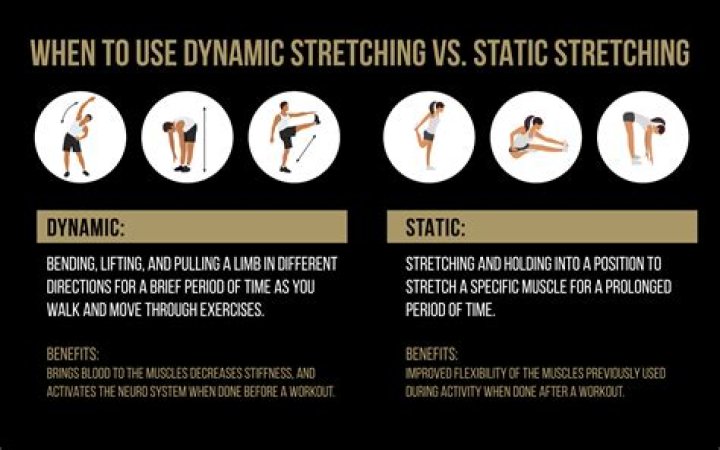 What are the 7 dynamic stretching exercises?