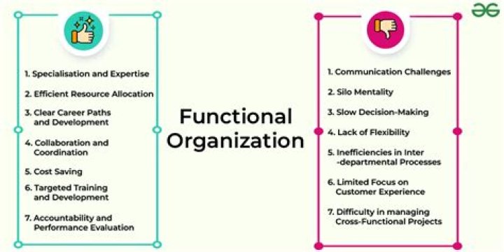 What are the advantages of functional organization of projects?