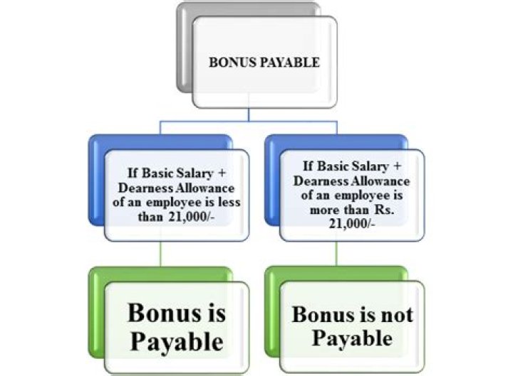What are the conditions for eligibility of bonus?