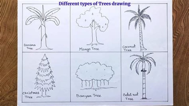 What are the different ways to save?