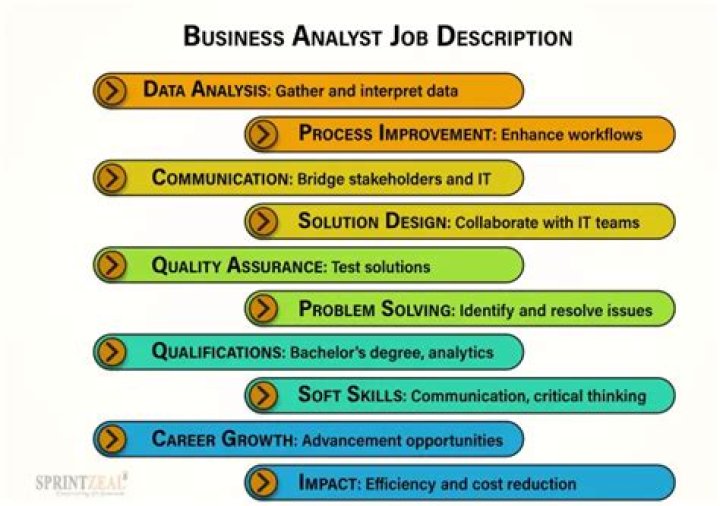 What are the duties of a business analyst?