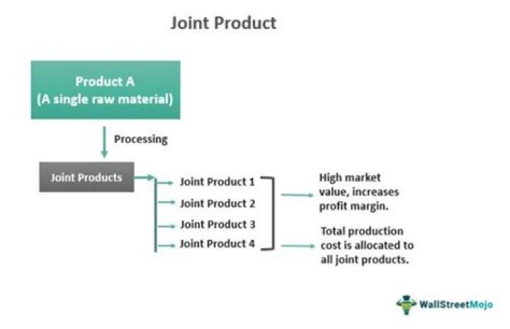 What are the example of joint product?