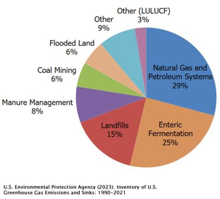 What are the harmful effects of methane?