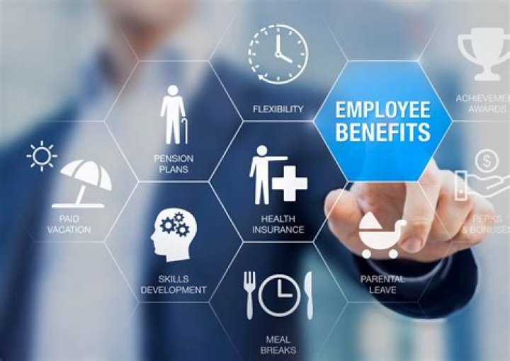 What are the health benefits provided by the employer?