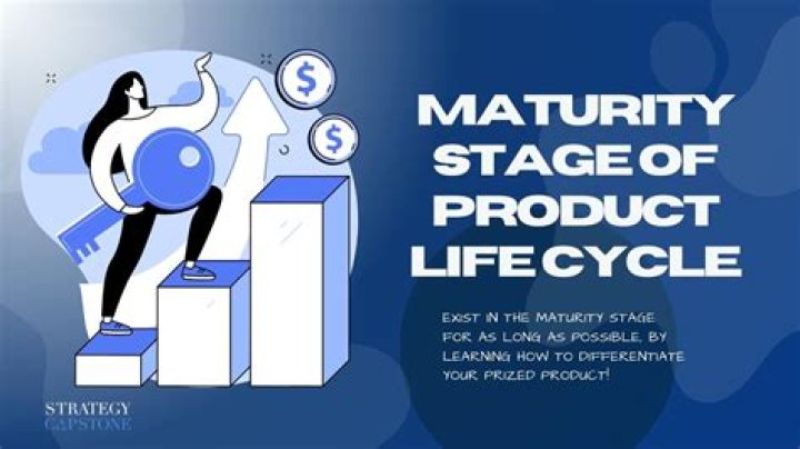 What are the marketing objectives during the maturity stage?