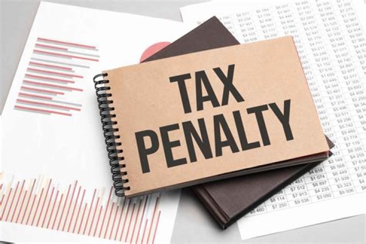 What are the penalties of failing to pay the taxes?