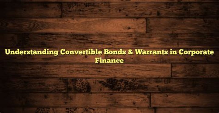 What are the reasons for issuing warrants and convertible bonds?