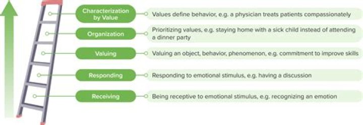What are the three criteria for deciding whether a tax is effective?