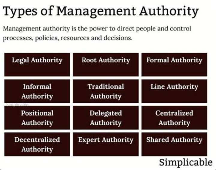 What are the types of authority in an Organisation?
