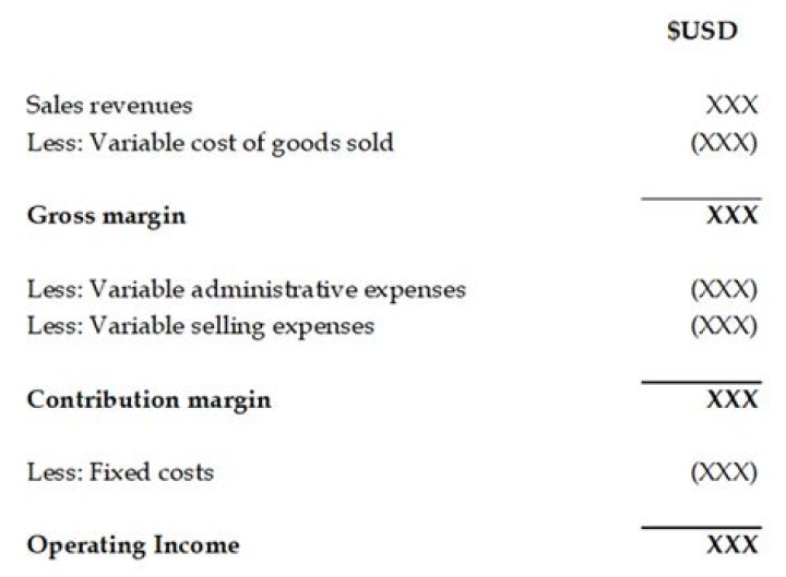 What are variable costs on an income statement?