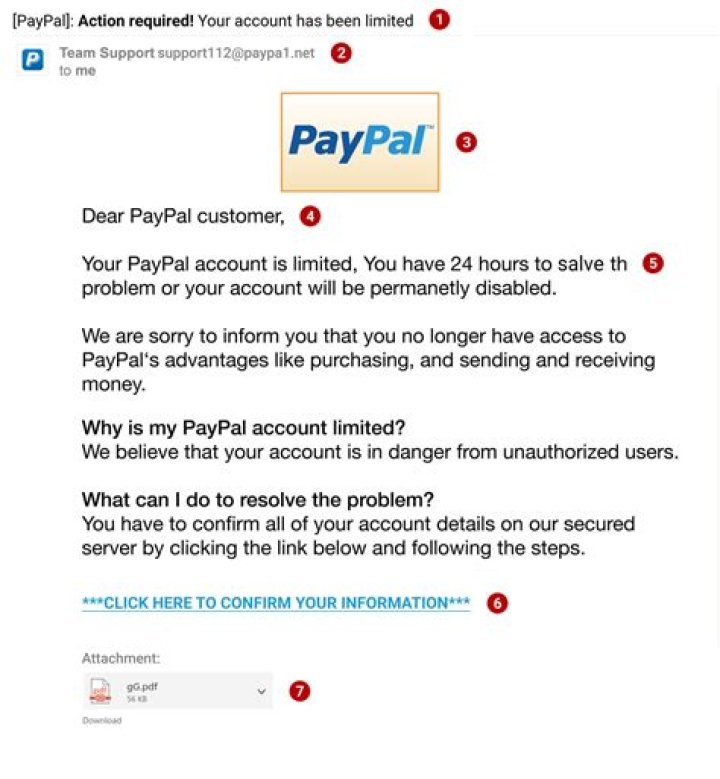 What can PayPal be used for?