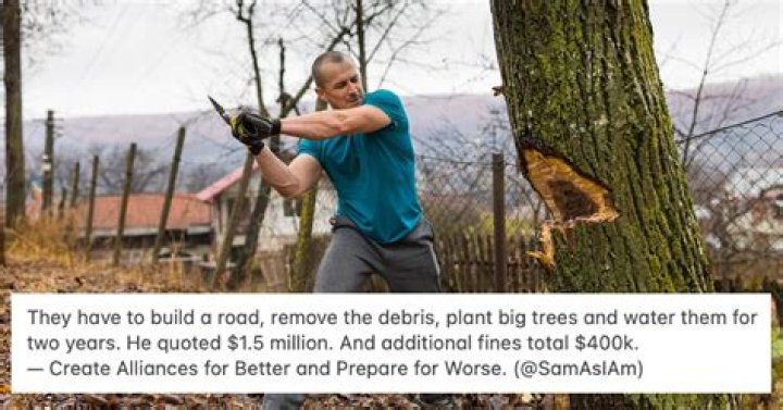 What do you call someone who illegally cuts down trees?