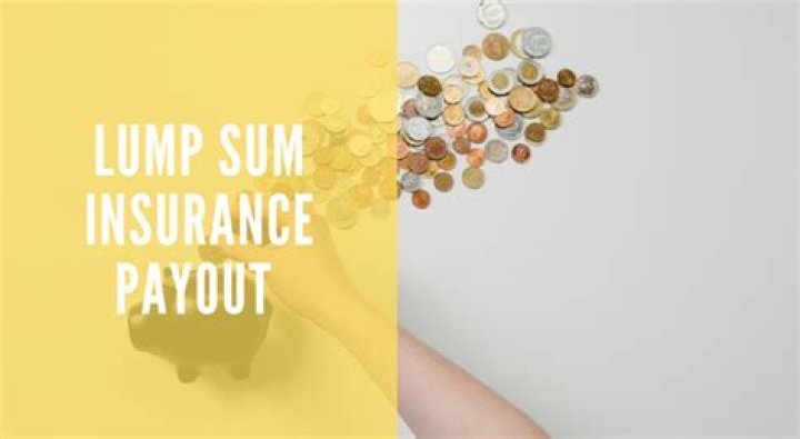 What do you do with a lump sum payout?