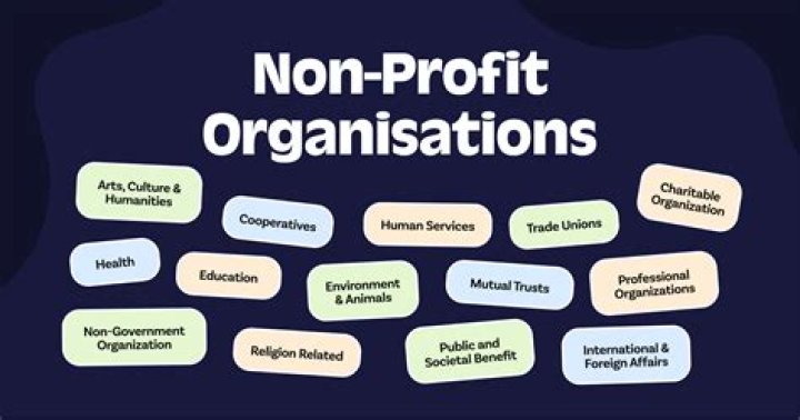 What does a nonprofit agency do?